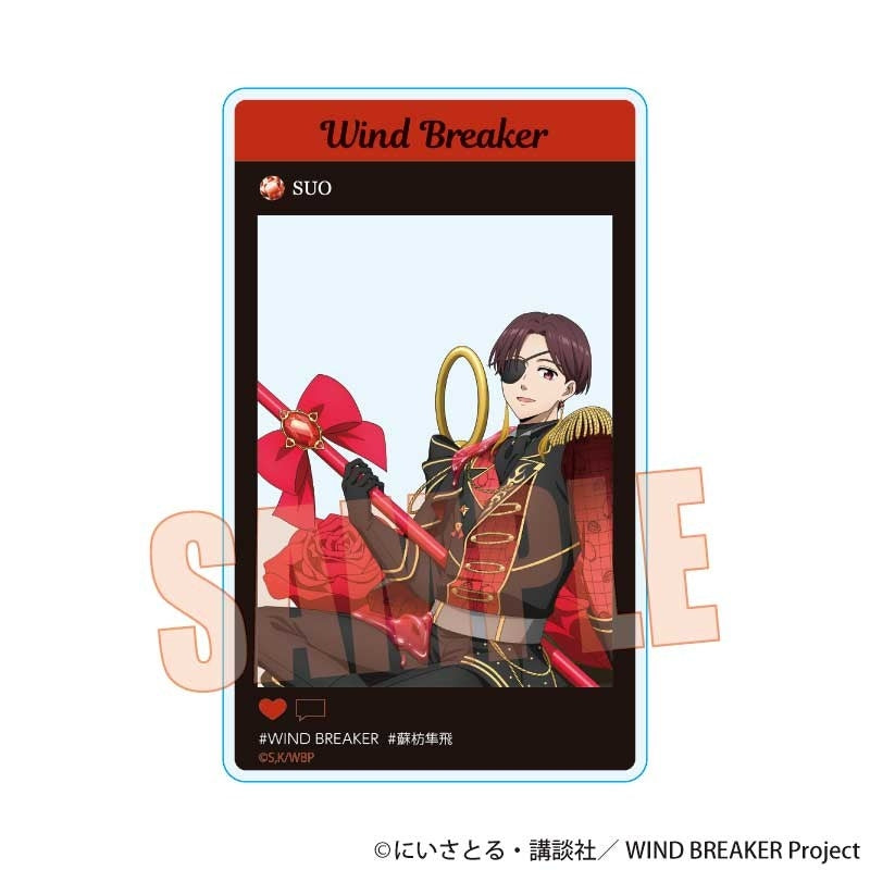 (Goods - Card) WIND BREAKER Trading Acrylic Card Dolce (Blind Box -Single)