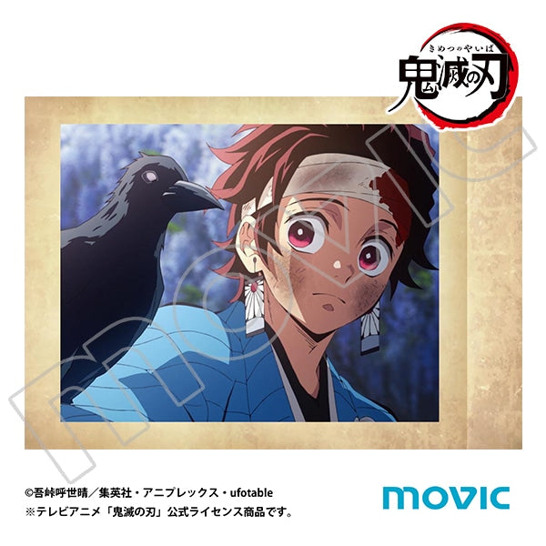(Goods - Card) Demon Slayer: Kimetsu no Yaiba Pashacolle (Blind Box -Single)