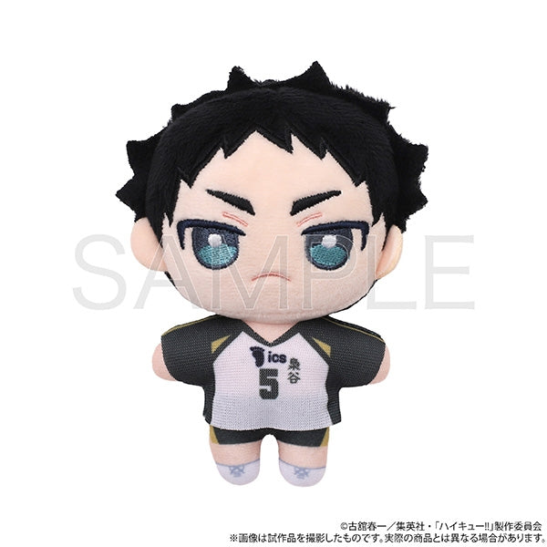 (Goods - Mascot) Haikyu!! Nui Pal (Plush) / Keiji Akaashi