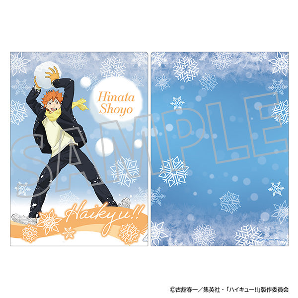 (Goods - Clear File) Haikyu!! Clear File Shoyo Hinata