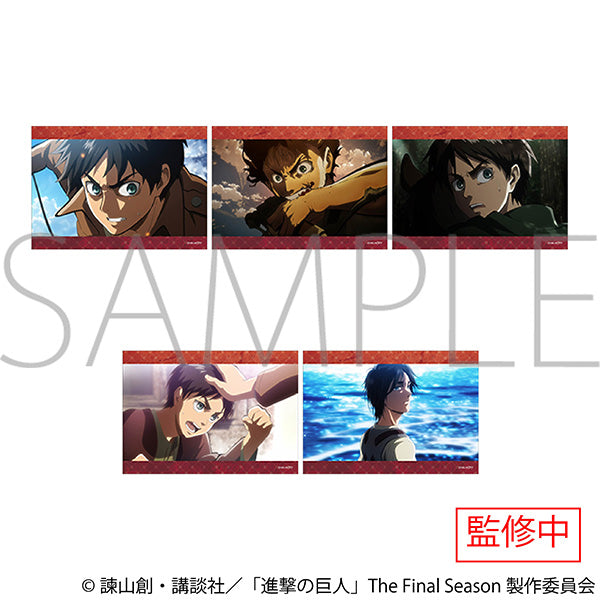 (Goods - Bromide) Attack on Titan Bromide Set Eren