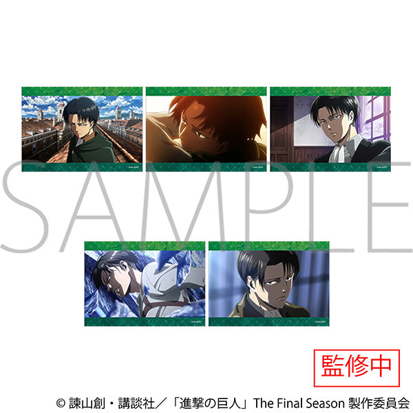 (Goods - Bromide) Attack on Titan Bromide Set Levi