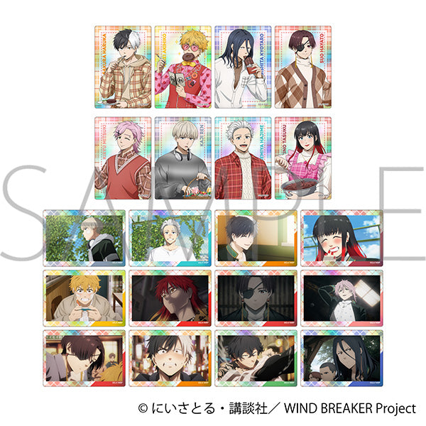 (Goods - Card) WIND BREAKER Iridescent Art Collection (Blind Box -Single)
