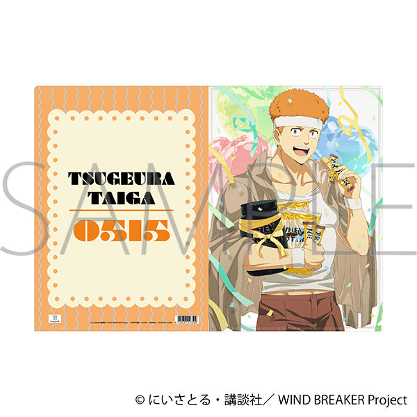 (Goods - Clear File) WIND BREAKER Clear File Taiga Tsugeura