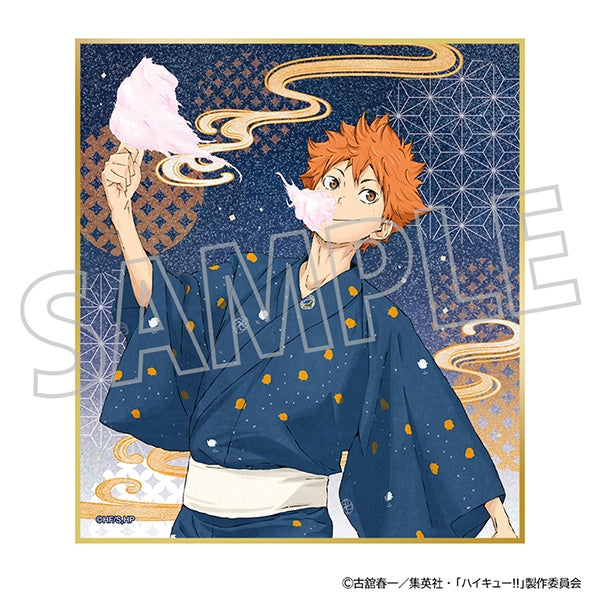 (Goods - Artboard) Haikyu!! Art Board Shoyo Hinata