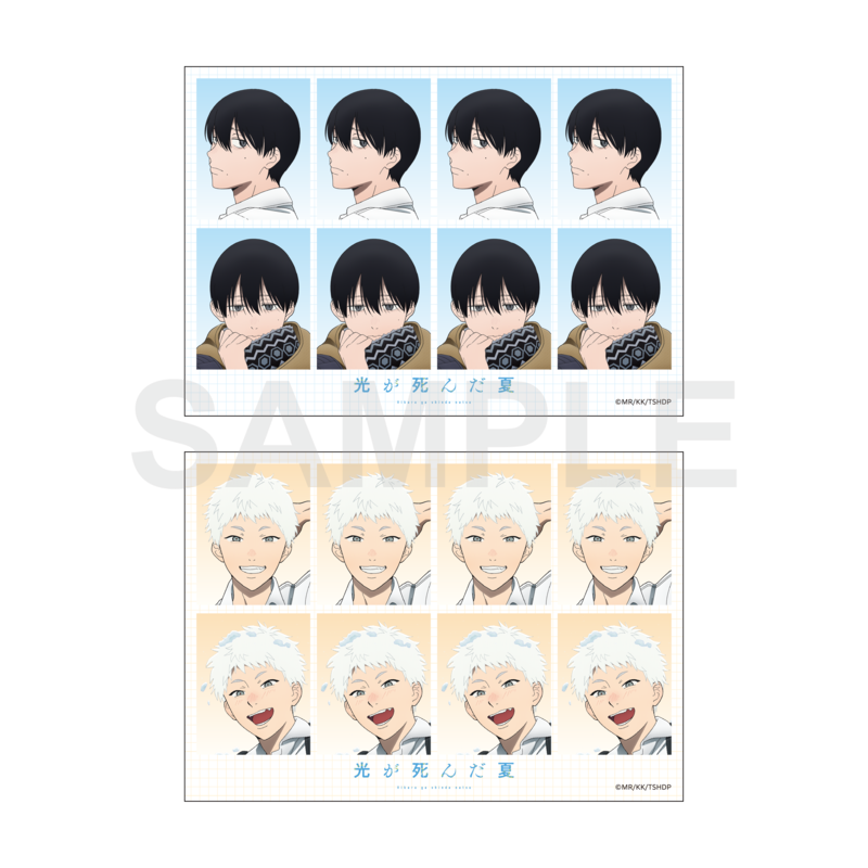 (Goods - Card) The Summer Hikaru Died Passport Photo Bromide Set Daily Life