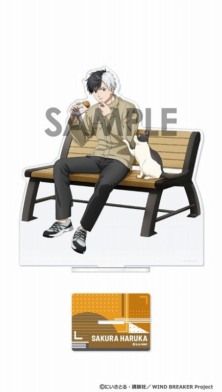 (Goods - Stand Pop) WIND BREAKER Acrylic Stand - Weekend 1. Haruka Sakura