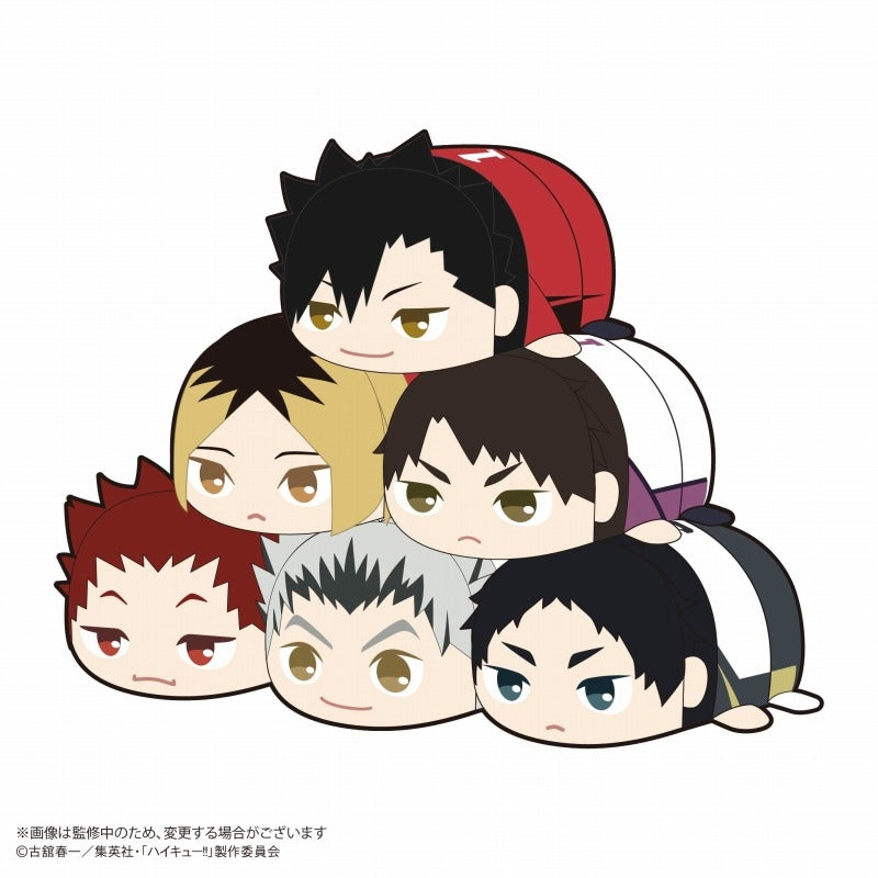 (Goods - Mascot) Haikyu!! Potekoro Mascot 2 (Blind Box -Single)