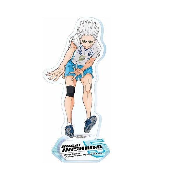 Goods - Acrylic Stand) [Haikyu!!] Acrylic Stand 2 / 12. Korai Hoshium