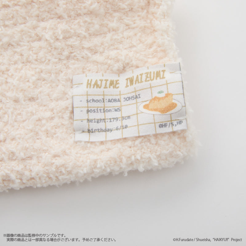 (Goods - Apparel) Haikyu!! Roomwear socks (Ladies)