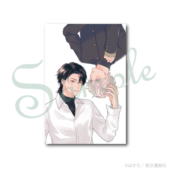(Goods - Postcard) Cab100 Postcard