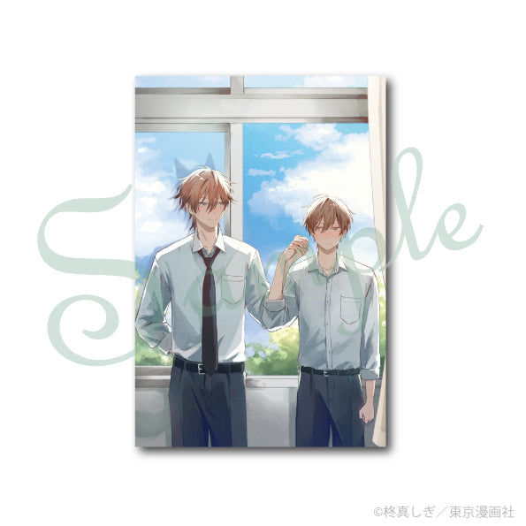 (Goods - Postcard) Cab100 Postcard