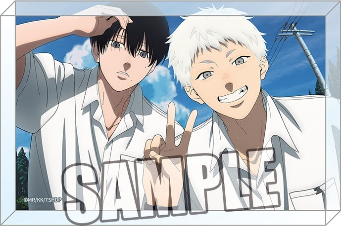 (Goods - Ornament) The Summer Hikaru Died TV Anime Acrylic Block - A