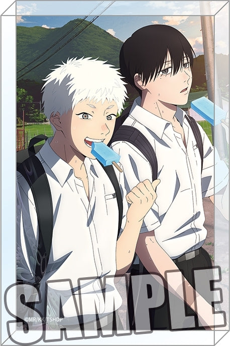 (Goods - Ornament) The Summer Hikaru Died TV Anime Acrylic Block - B