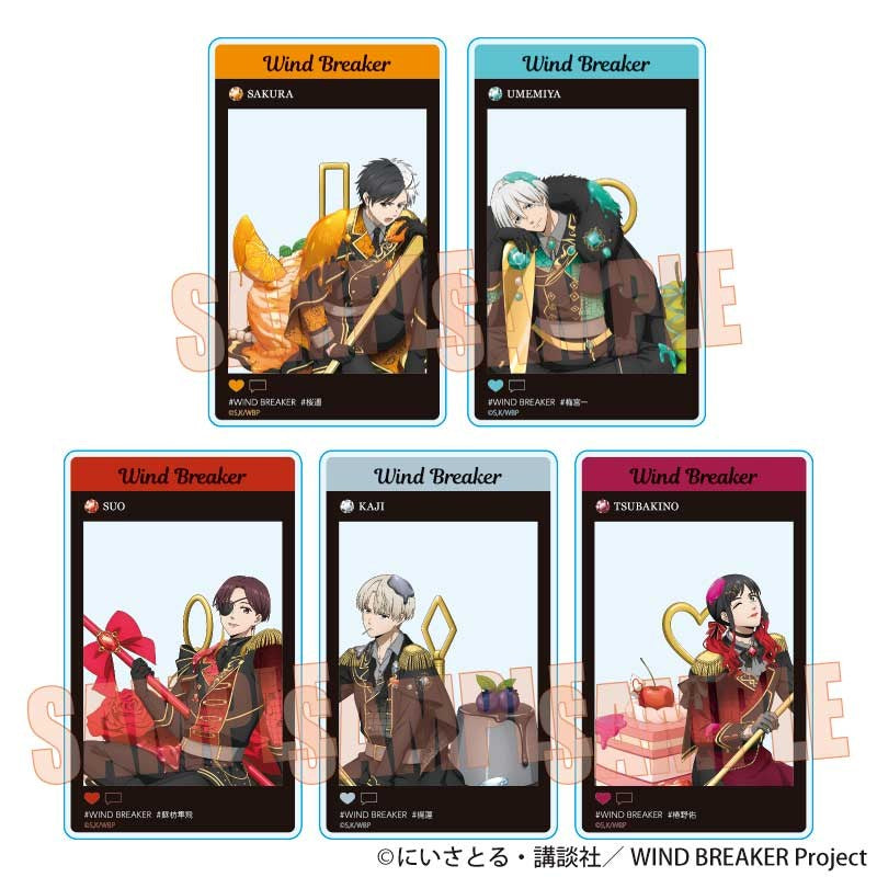 (Goods - Card) WIND BREAKER Trading Acrylic Card Dolce (Blind Box -Single)