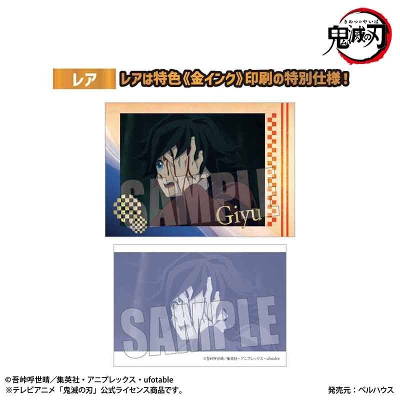 (Goods -  Card) Demon Slayer: Kimetsu no Yaiba To the Hashira Training Collection Card (Blind Box -Single)