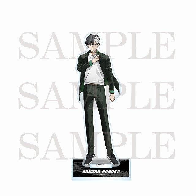 (Goods - Acrylic Stand) Wind Breaker Acrylic Stand Sakura Haruka