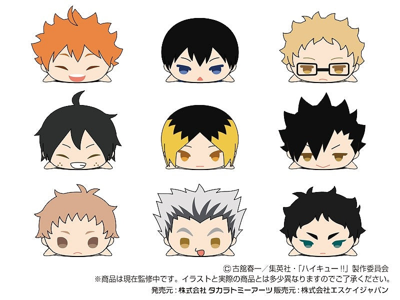 [Haikyu!!] Mochi Mochi Mascot WA vol. 1 (Blind Box -Single)