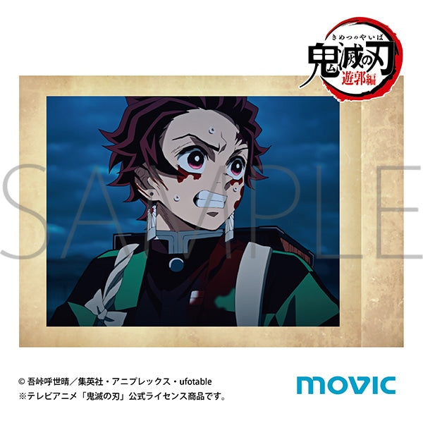 (Goods - Card) Demon Slayer: Kimetsu no Yaiba Pashacolle Vol. 5 (Blind Box -Single)