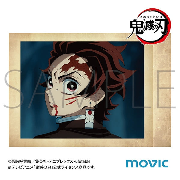 (Goods - Card) Demon Slayer: Kimetsu no Yaiba Pashacolle Vol. 6 (Blind Box -Single)
