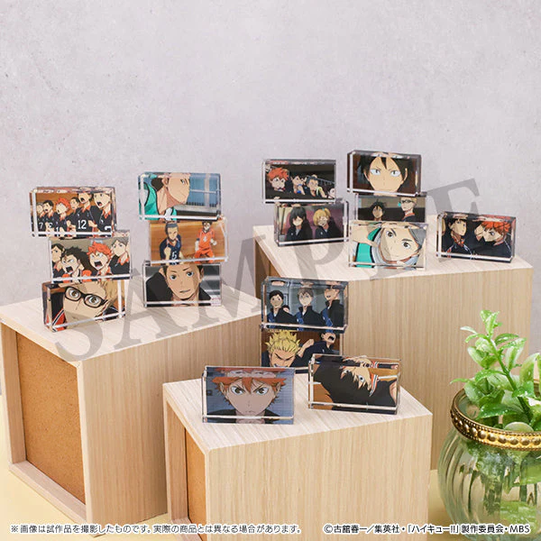 [Haikyu!!] Memorial Acrylic Block / Karasuno High  (Blind Box -Single)