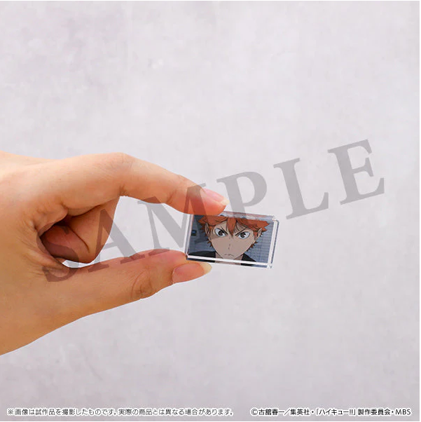 [Haikyu!!] Memorial Acrylic Block / Karasuno High  (Blind Box -Single)