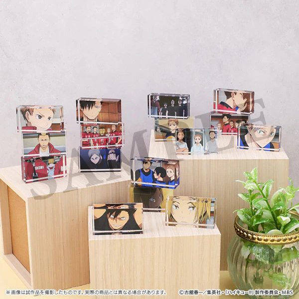 [Haikyu!!] Memorial Acrylic Block / Nekoma High  (Blind Box -Single)