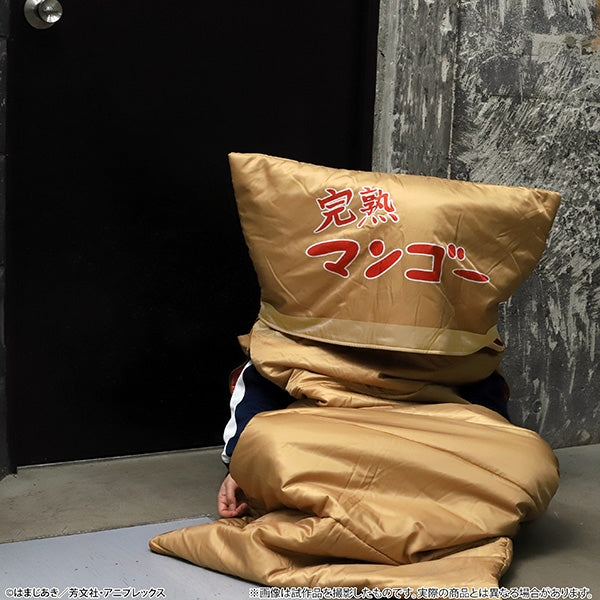 [Bocchi The Rock!] Sleeping Bag / Cardboard Box Style