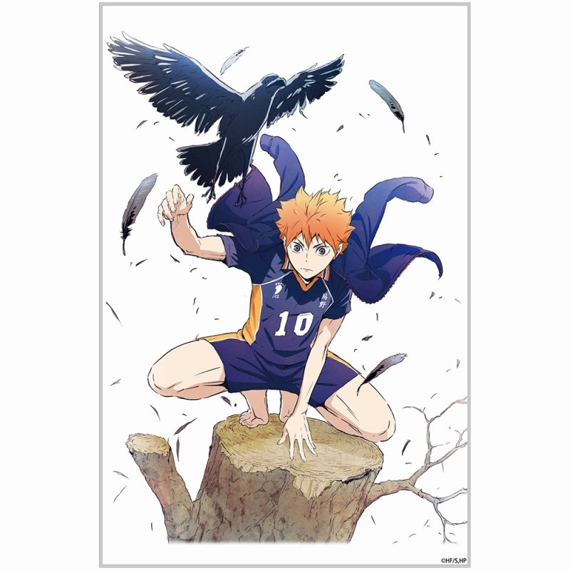 (Goods - Acrylic Stand) [Haikyu!!] Shoyo Hinata Acrylic Art Stand Ver. 1.0