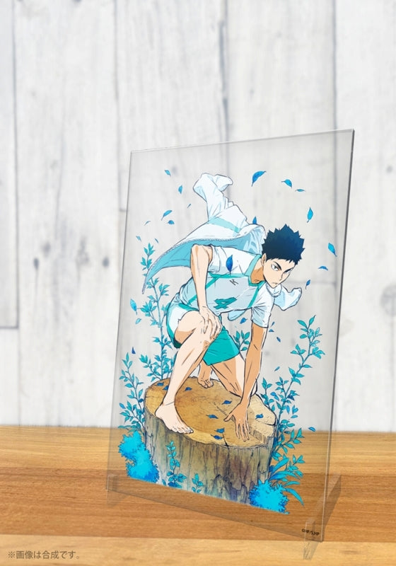 (Goods - Acrylic Stand) [Haikyu!!] Hajime Iwaizumi Acrylic Art Stand Ver. 1.0