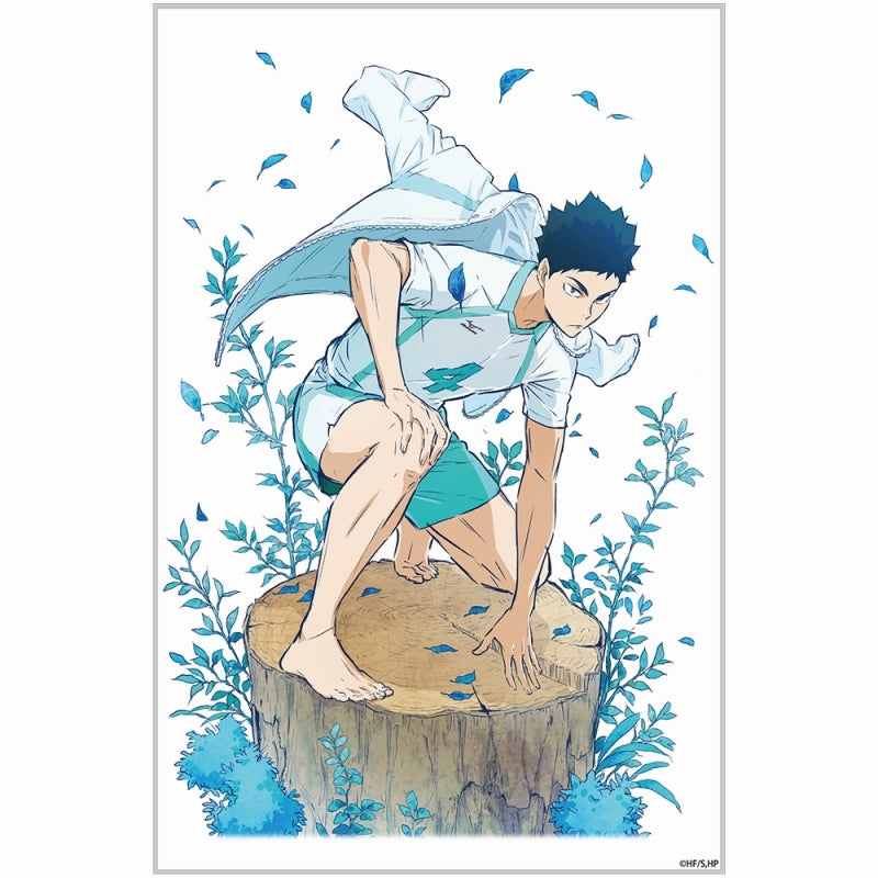 (Goods - Acrylic Stand) [Haikyu!!] Hajime Iwaizumi Acrylic Art Stand Ver. 1.0