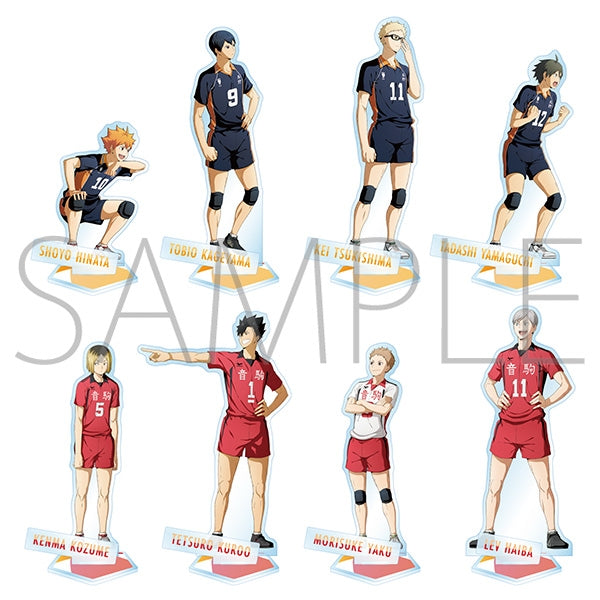 (Goods - Acrylic Stand)[Haikyu!!] Acrylic Stand Shoyo Hinata