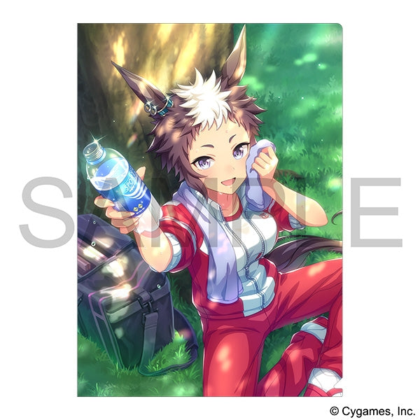 [Uma Musume Pretty Derby] File Folder /vol. 16 "Kodo ga Hayamaru Cool Down" Mejiro Ryan