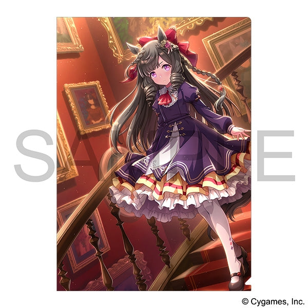 [Uma Musume Pretty Derby] File Folder /vol. 16 "Aa Karei Naru Ichizoku" Daiichi Ruby