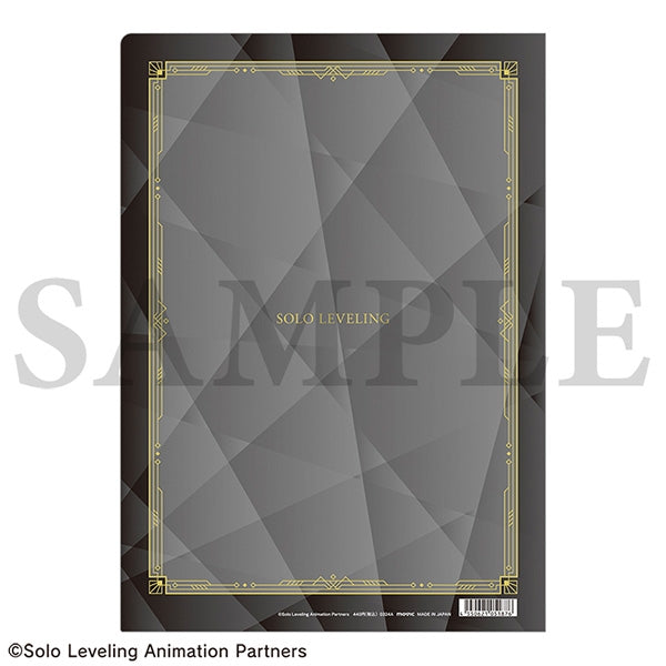 [Solo Leveling] File Folder / Shun Mizushino
