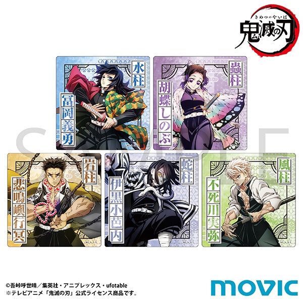 [Demon Slayer: Kimetsu no Yaiba] To the Hashira Training Arc Teaser Visual Sticker Set