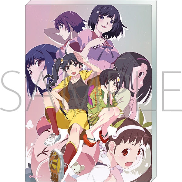 [Monogatari Series] Noble Art / Nisemonogatari | animate USA - animate ...