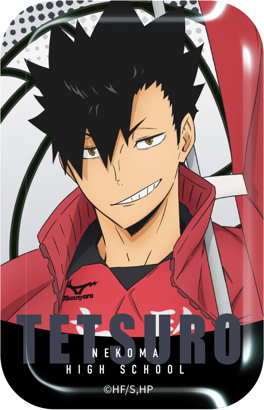 [Haikyu!!] Square Button Badge Banner Flag Karasuno & Nekoma (Blind Box -Single)