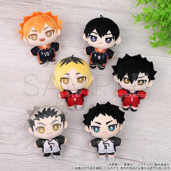 (Goods - Mascot) Haikyu!! Nui Pal (Plush) / Tobio Kageyama