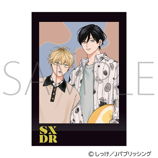(Goods - Bromide) Sex Drop PashaColle (Blind Box -Single)