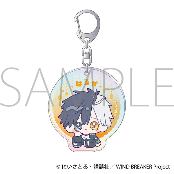 (Goods - Keychain) WIND BREAKER Holographic Keychain / Haruka Sakura Minipiens