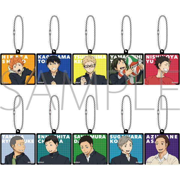 (Goods - Keychain) Haikyu!! Acrylic Keychain Collection (Blind Box -Single)