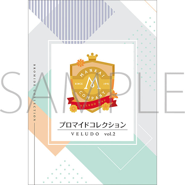 (Goods - Bromide) A3! Bromide Collection VELUDO Vol.2 (Blind Box -Single)