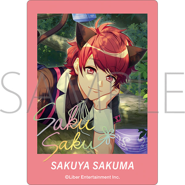 (Goods - Bromide) A3! PashaColle Clear Ver. Vol. 5 Spring Troupe & Summer Troupe (Blind Box -Single)