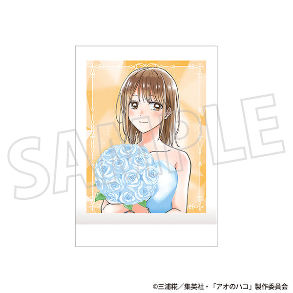 (Goods - Bromide) Blue Box PashaColle Vol. 2 (Blind Box -Single)