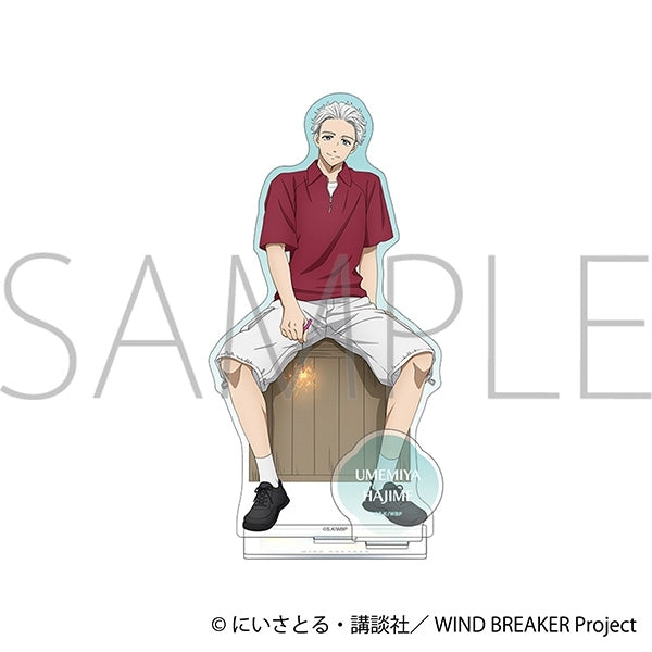 (Goods - Acrylic Stand) WIND BREAKER Acrylic Stand - Hajime Umemiya Fireworks