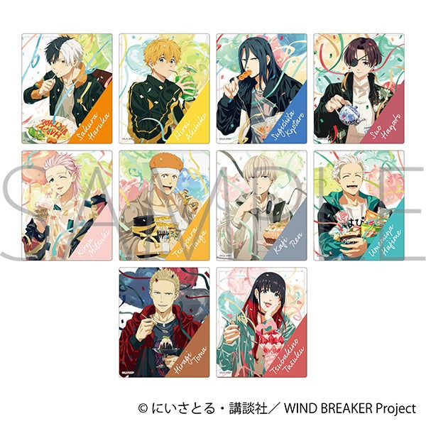 (Goods - Card) WIND BREAKER Holographic Acrylic Card Collection (Blind Box -Single)