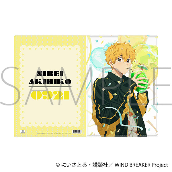 (Goods - Clear File) WIND BREAKER Clear File Akihiko Nirei