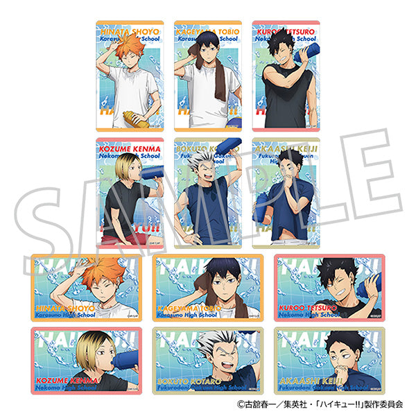 (Goods - Card) Haikyu!! Clear Sheet Collection / (12 Types Total) "Cool Down Fair" (Blind Box -Single)