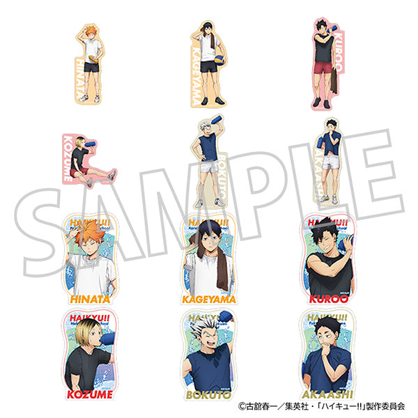 (Goods - Sticker) Haikyu!! Peta Collection "Cool Down Fair" (Blind Box -Single)
